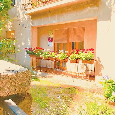 Gallura Experiences Li Criasgi Aggius Dış mekan fotoğraf