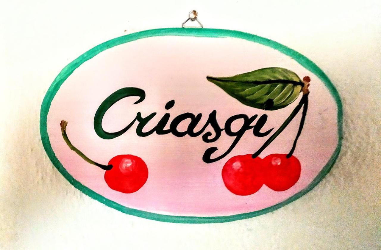Gallura Experiences Li Criasgi Aggius Dış mekan fotoğraf